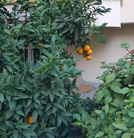 Barbaros Cd No 201 Apartment Mahmutlar